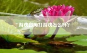 游戏白痴打游戏怎么样？