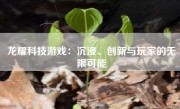 龙耀科技游戏：沉浸、创新与玩家的无限可能