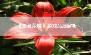 《王者荣耀》游戏品质解析