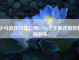 小马游戏科技公司：一个不断进取的科技巨头