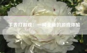 手表打游戏：一种全新的游戏体验
