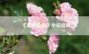 《游戏片刻》小说结局