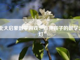 北大启蒙数学游戏：点亮孩子的数学之灯