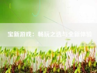 宝新游戏：畅玩之选与全新体验