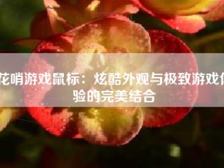 花哨游戏鼠标：炫酷外观与极致游戏体验的完美结合