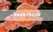 希希游戏名字怎么样