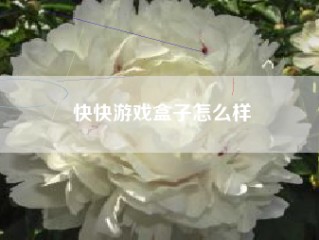 快快游戏盒子怎么样