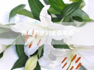 游戏网速的全面解析