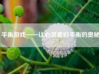 平衡游戏——让心灵重归平衡的奥秘