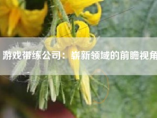 游戏带练公司：崭新领域的前瞻视角