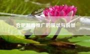 合肥游戏推广的现状与前景