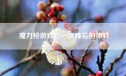 魔力枪游戏：一次难忘的体验