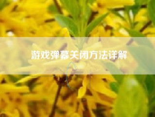 游戏弹幕关闭方法详解