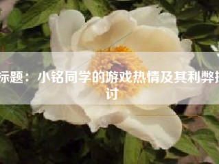 标题：小铭同学的游戏热情及其利弊探讨