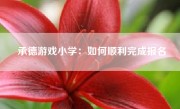 承德游戏小学：如何顺利完成报名