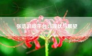 张浩游戏平台：现状与展望