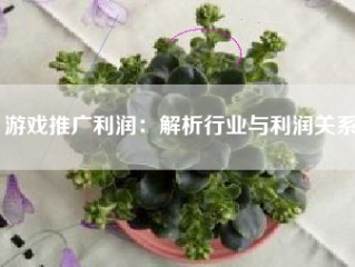 游戏推广利润：解析行业与利润关系