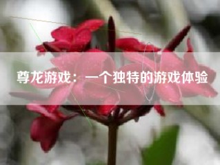 尊龙游戏：一个独特的游戏体验