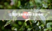 公路骑手游戏画质全面分析