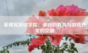 菲律宾游戏学院：卓越的教育与游戏开发的交融