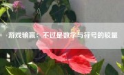 游戏输赢：不过是数字与符号的较量