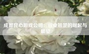 成都良心游戏公司：行业翘楚的崛起与展望