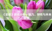 《圣歌》游戏分析：魅力、特性与未来前景