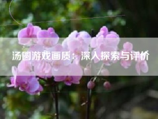 汤圆游戏画质：深入探索与评价