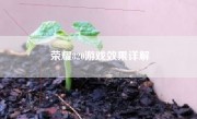 荣耀820游戏效果详解