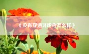 《没有穿透游戏会怎么样》