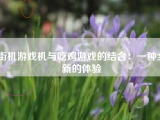 街机游戏机与吃鸡游戏的结合：一种全新的体验