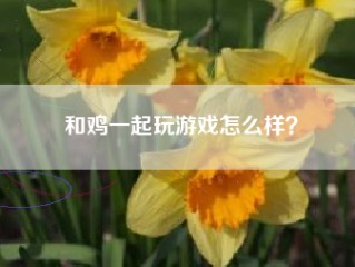 和鸡一起玩游戏怎么样？