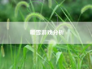 暖雪游戏分析