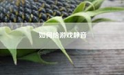 如何给游戏静音