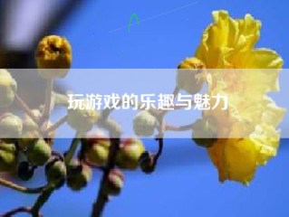 玩游戏的乐趣与魅力