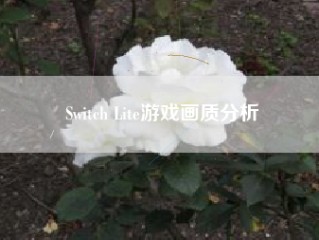 Switch Lite游戏画质分析