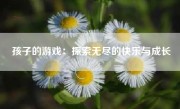 孩子的游戏：探索无尽的快乐与成长