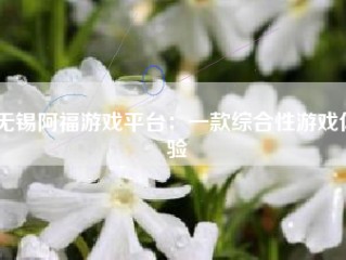 无锡阿福游戏平台：一款综合性游戏体验