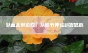 魅蓝全屏游戏：从细节体验到震撼感