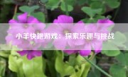 小羊快跑游戏：探索乐趣与挑战