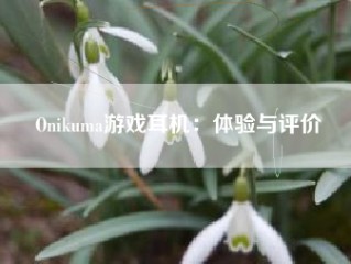 Onikuma游戏耳机：体验与评价