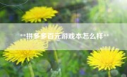 **拼多多百元游戏本怎么样**