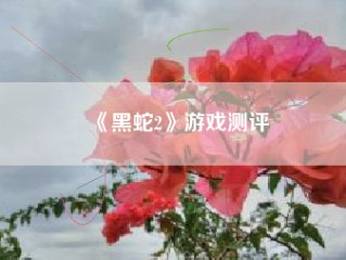 《黑蛇2》游戏测评