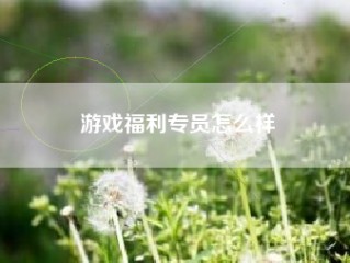 游戏福利专员怎么样