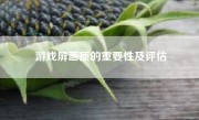 游戏屏画质的重要性及评估