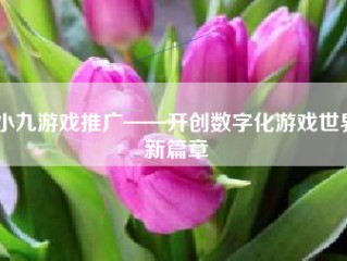 小九游戏推广——开创数字化游戏世界新篇章