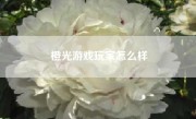 橙光游戏玩家怎么样