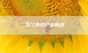 芬兰游戏产业概述