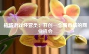 机场游戏经营类：开创一个新市场的商业机会