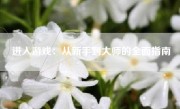 进入游戏：从新手到大师的全面指南